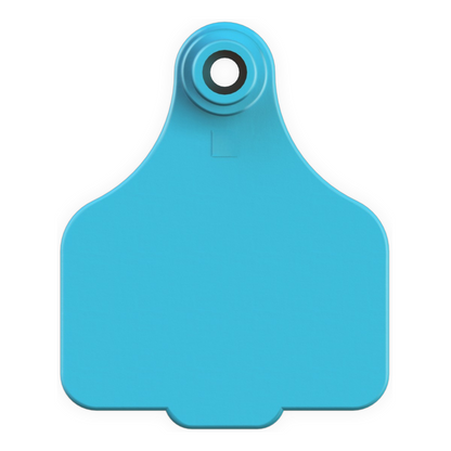 A bright turquoise blue plastic livestock identification tag with a circular hanging hole at the top, shown on a plain white background.