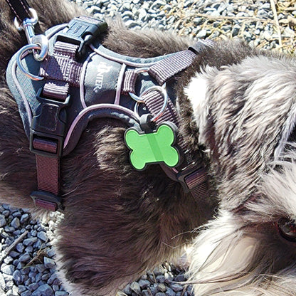 Engraved Soft Pet Tag